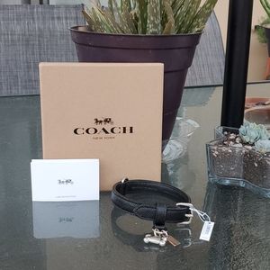 Coach™️ Dog Collar!